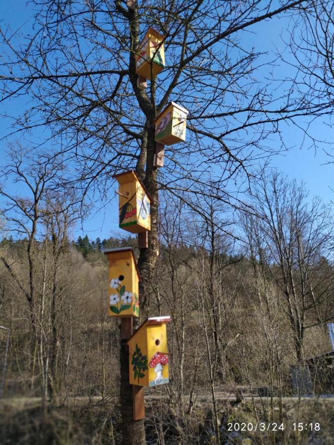 Rodinné apartmány Alpinka Oscadnica Esterno foto