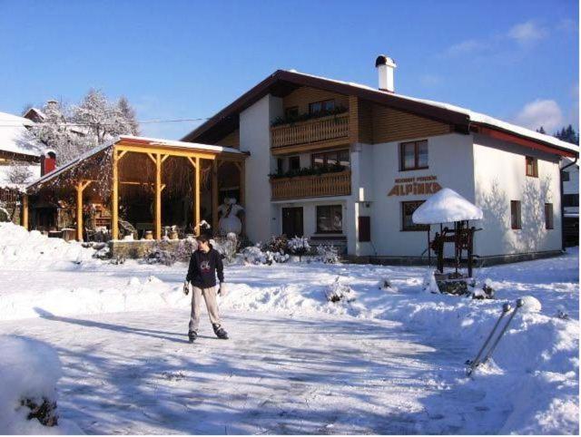 Rodinné apartmány Alpinka Oscadnica Esterno foto
